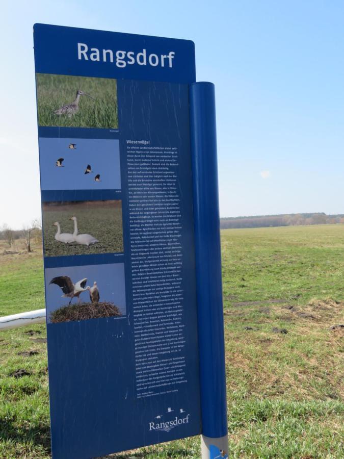 Ferienhaus Schillo Rangsdorf Esterno foto